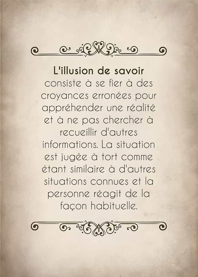 L'illusion de savoir text art