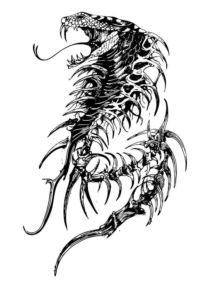 Black and White Snake Illustration