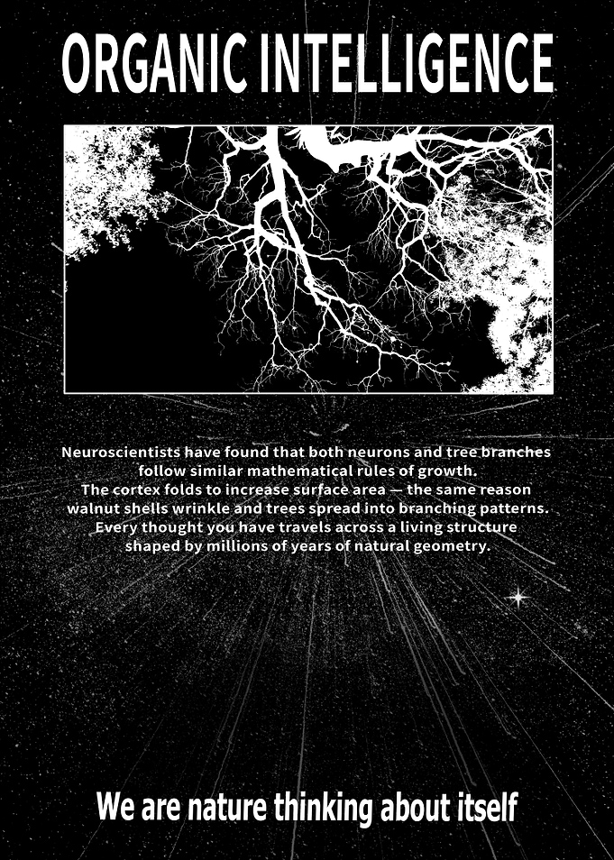 Variation of 'Organic intelligence' poster