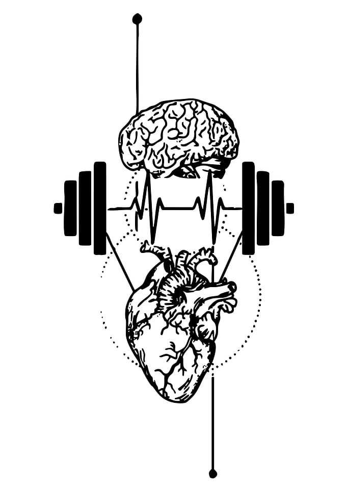 Brain, Heart, and Barbell Illustration