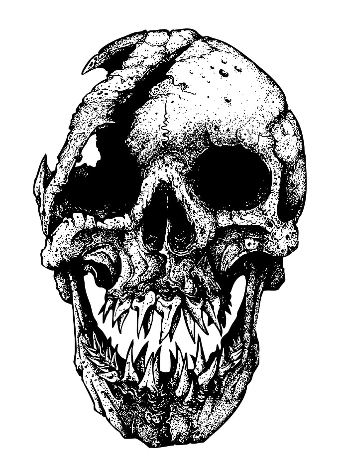Cracked Skull Illustration