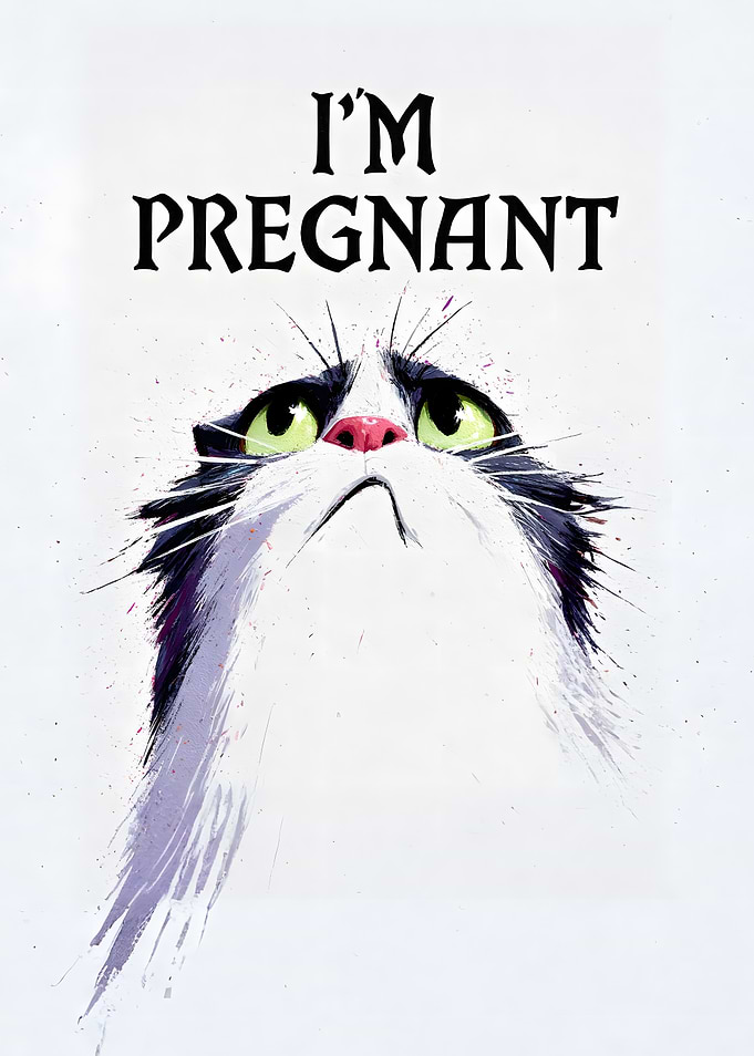 Pregnant Cat