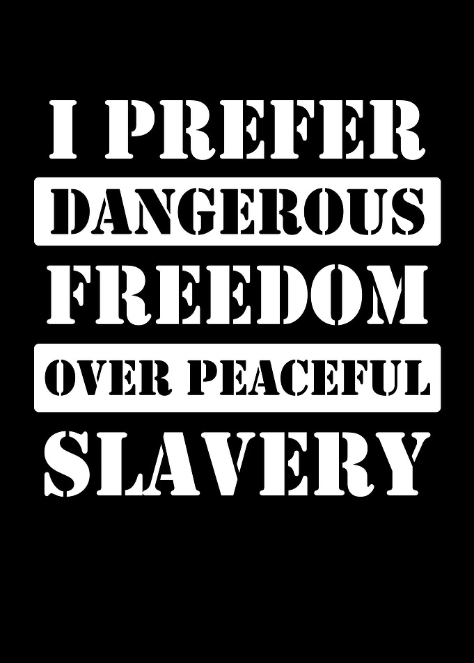 Dangerous Freedom Over Peaceful Slavery