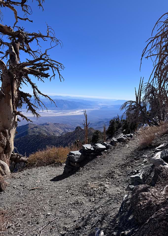 Mountain View with Dead Trees