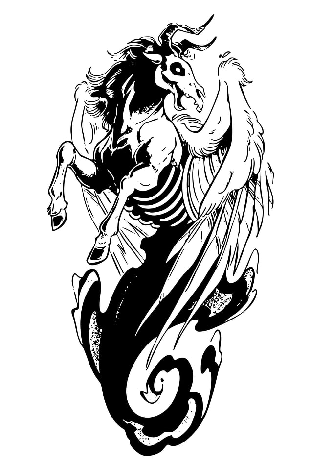 Undead Pegasus Black and White Illustration