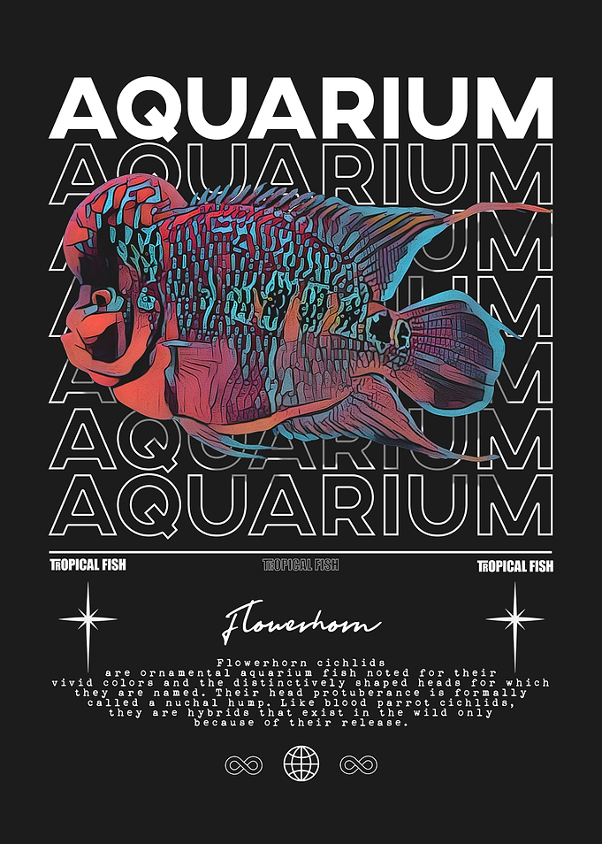 Aquarium Flowerhorn Tropical Fish