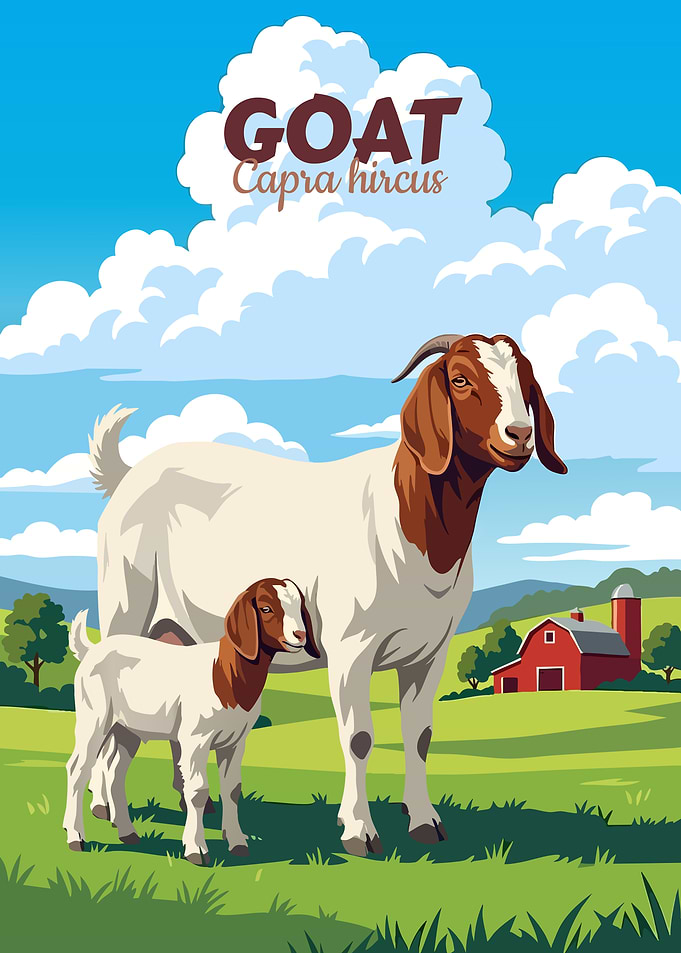 Goat and Kid on Farm