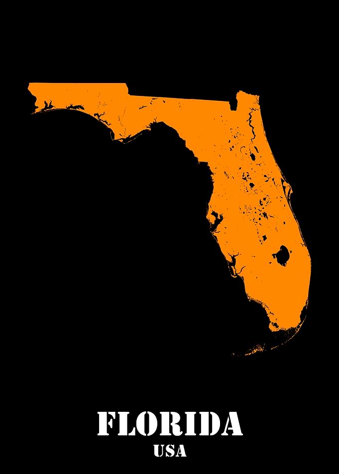 Florida USA State Minimalist Black Orange Topographic Contour Relief Map featuring terrain in orange color