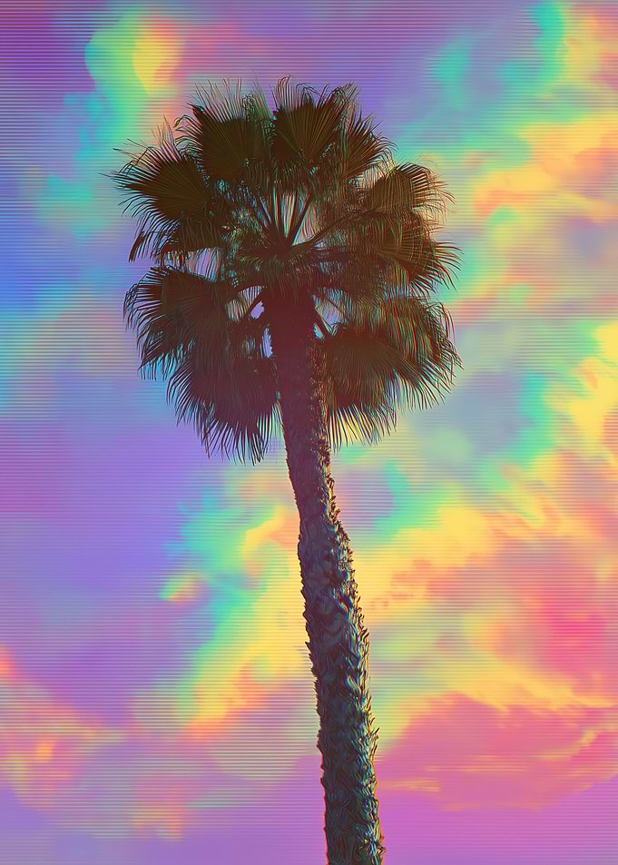 Palm Tree with Vaporwave Sky
