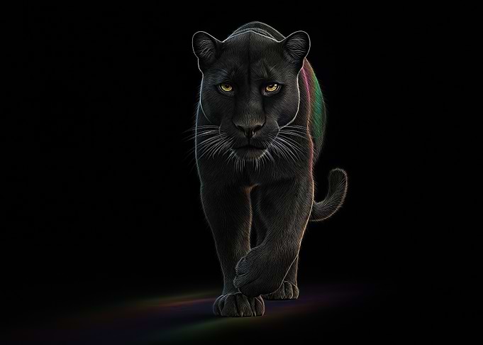 Black Panther Portrait on Black Background