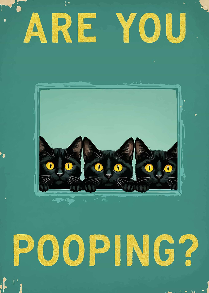Are You Pooping? Cats Poster