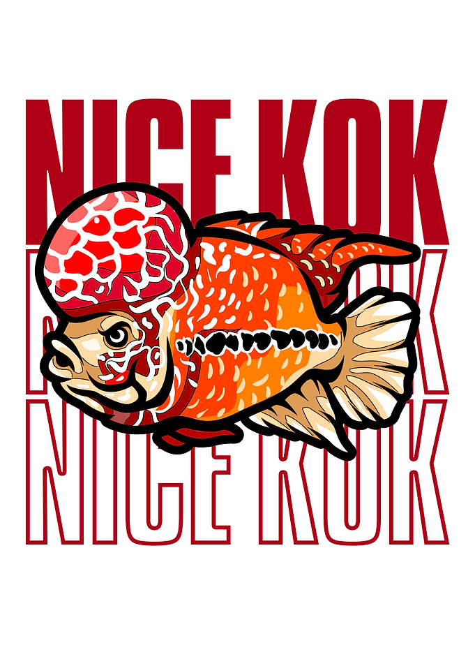 Nice Kok Funny Flowerhorn Fish