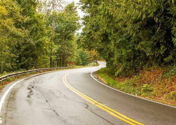 Winding Road Through Lush Forest