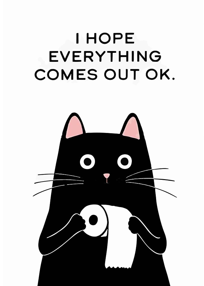 I Hope Everything Comes Out OK