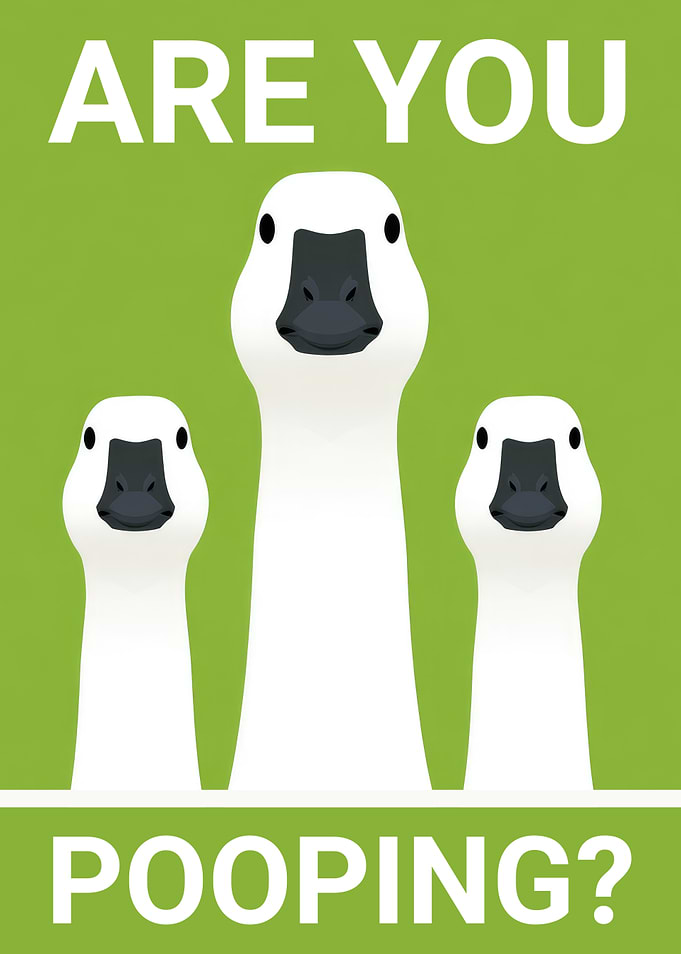 Are You Pooping? Silly Goose Funny Bathroom Poster