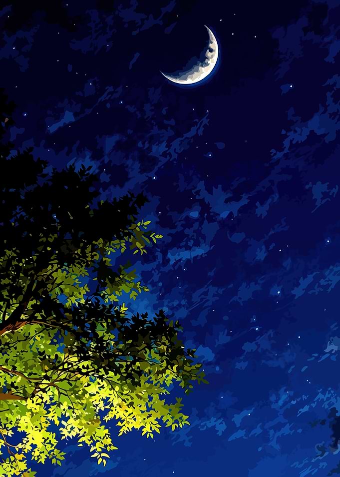 Crescent Moon and Tree at Night