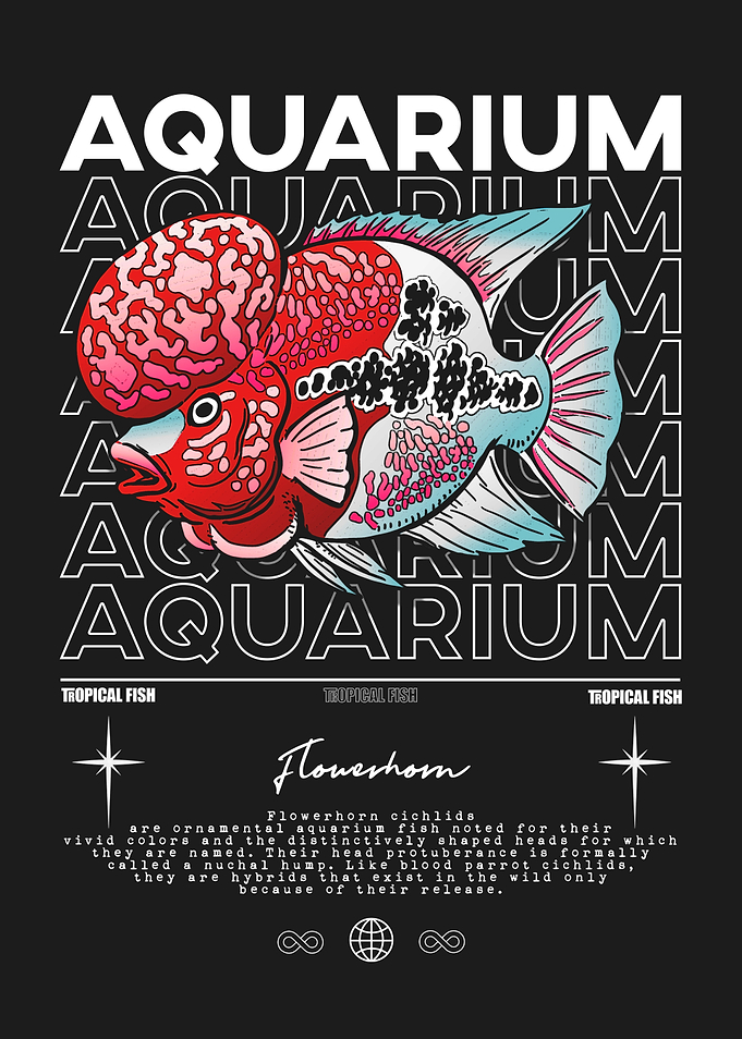 Aquarium Flowerhorn Tropical Fish