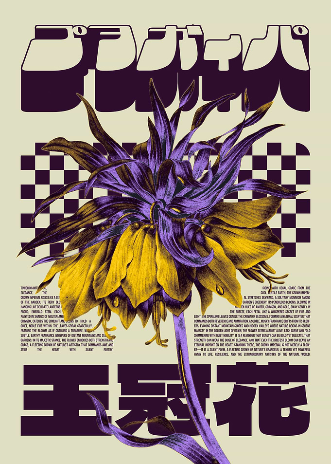 Crown Imperial Flower