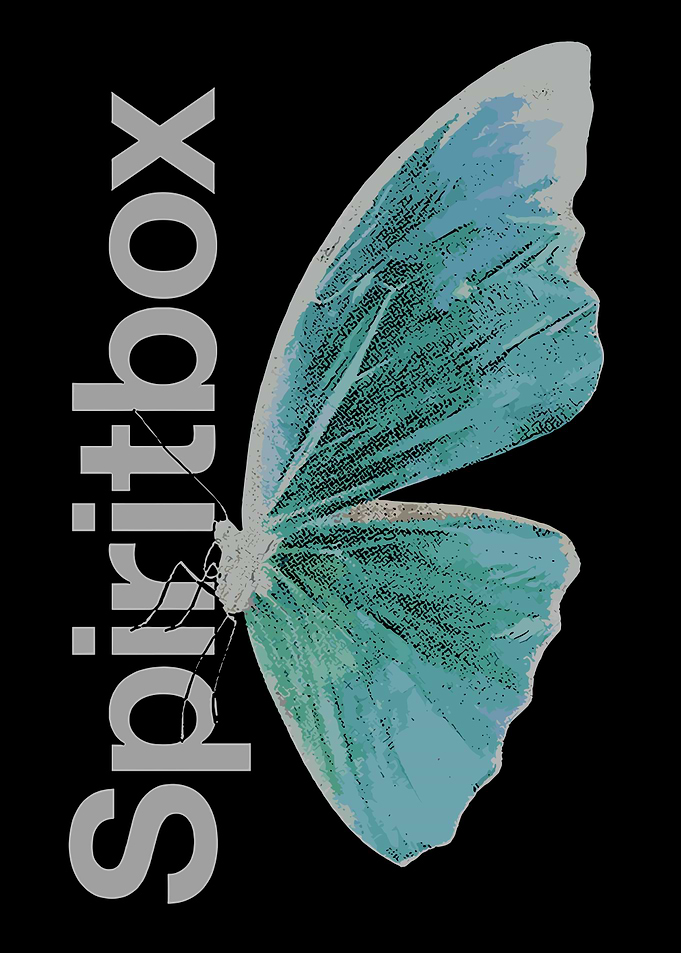 Butterfly Wing with Text on Black