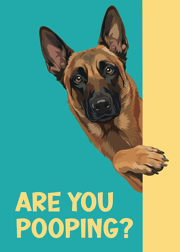 Are You Pooping? Belgian Malinois