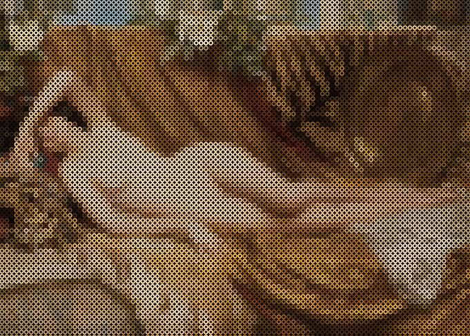 The Tiger Skin