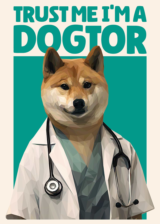 TRUST ME I’M A DOGTOR