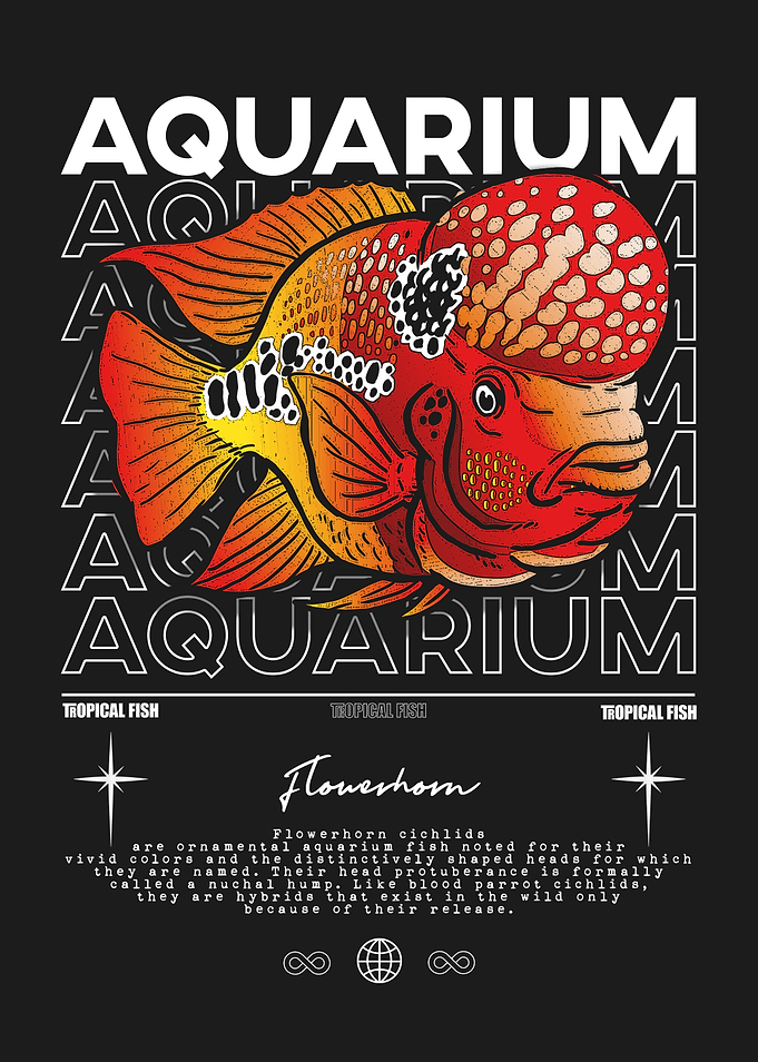 Flowerhorn Cichlid Aquarium