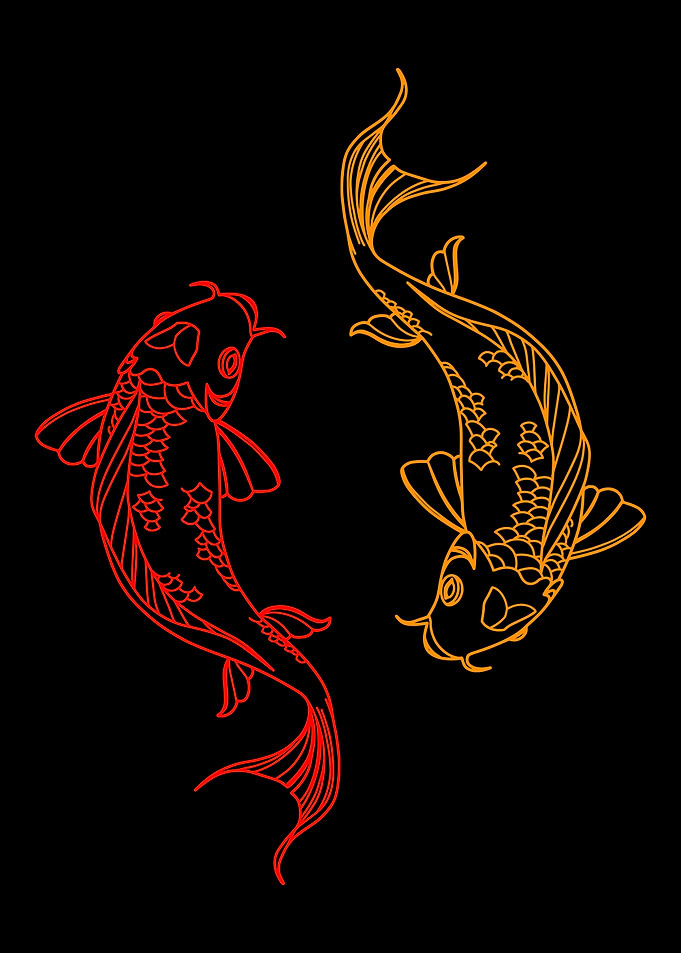 Red and Gold Koi Fish