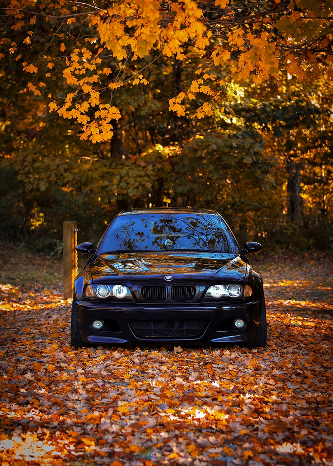 BMW in Autumn Leaves