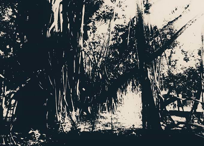 Monochrome Forest Scene