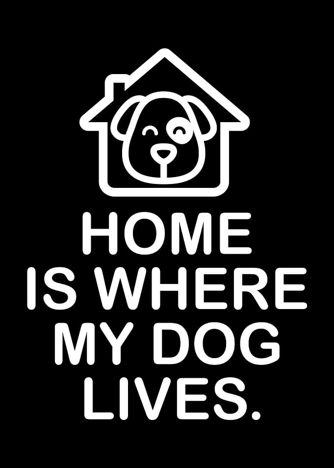 Home is Where My Dog Lives
