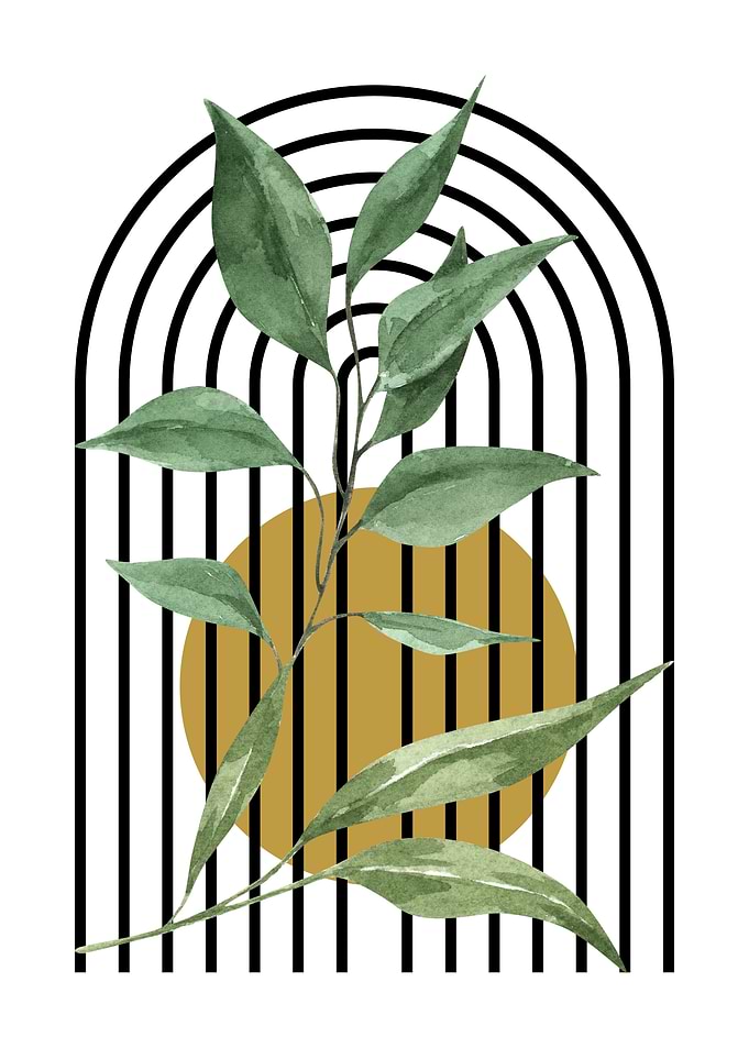 Botanical Art with Geometric Elements