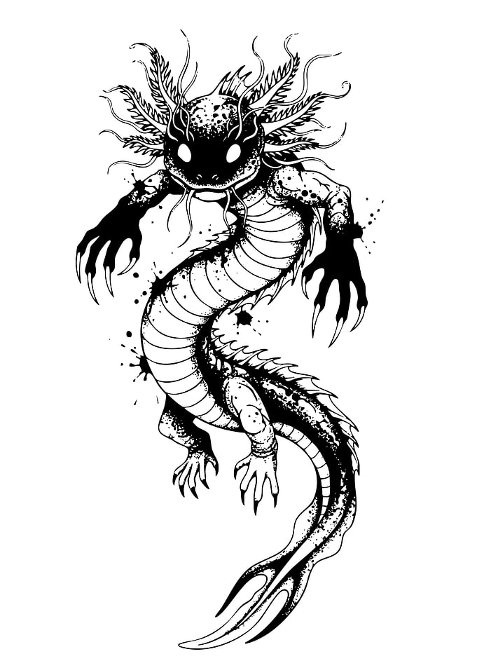 Axolotl Dragon Black and White Illustration