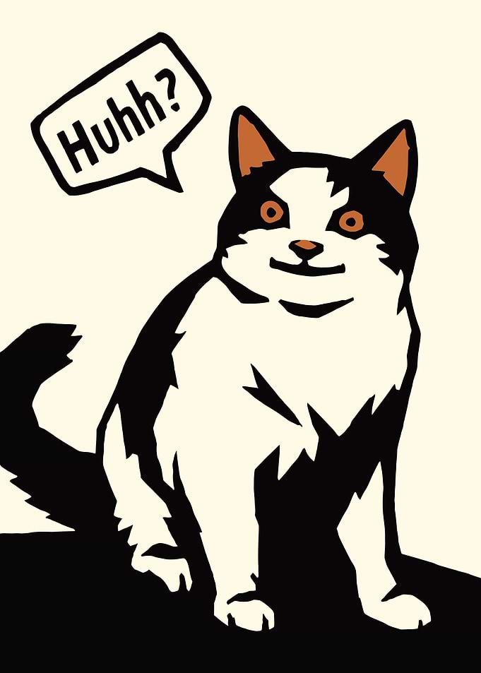 Confused Cat Huh