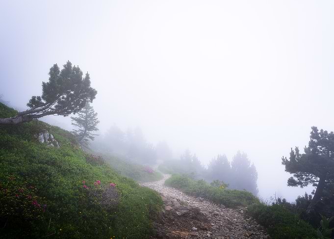 Misty Mountain Trail