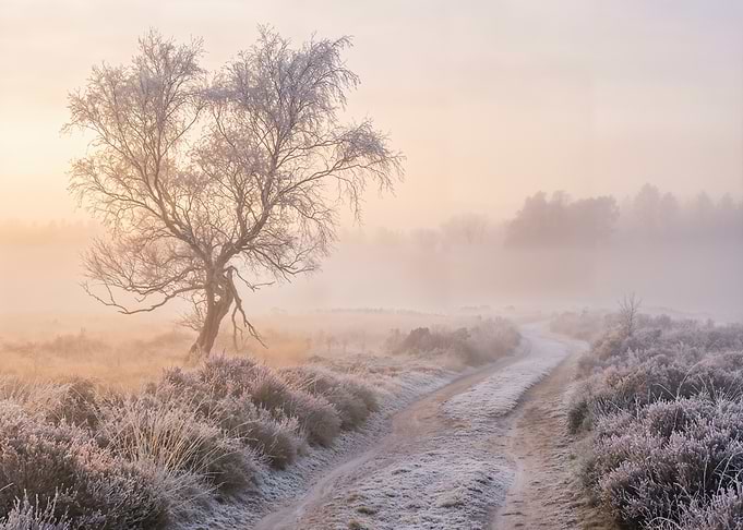 Frosty Morning Landscape with Winding Path