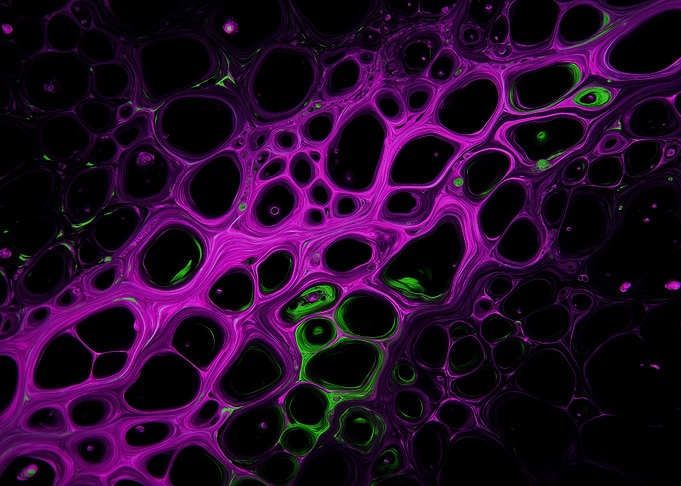 Abstract Purple and Green Cell Structure