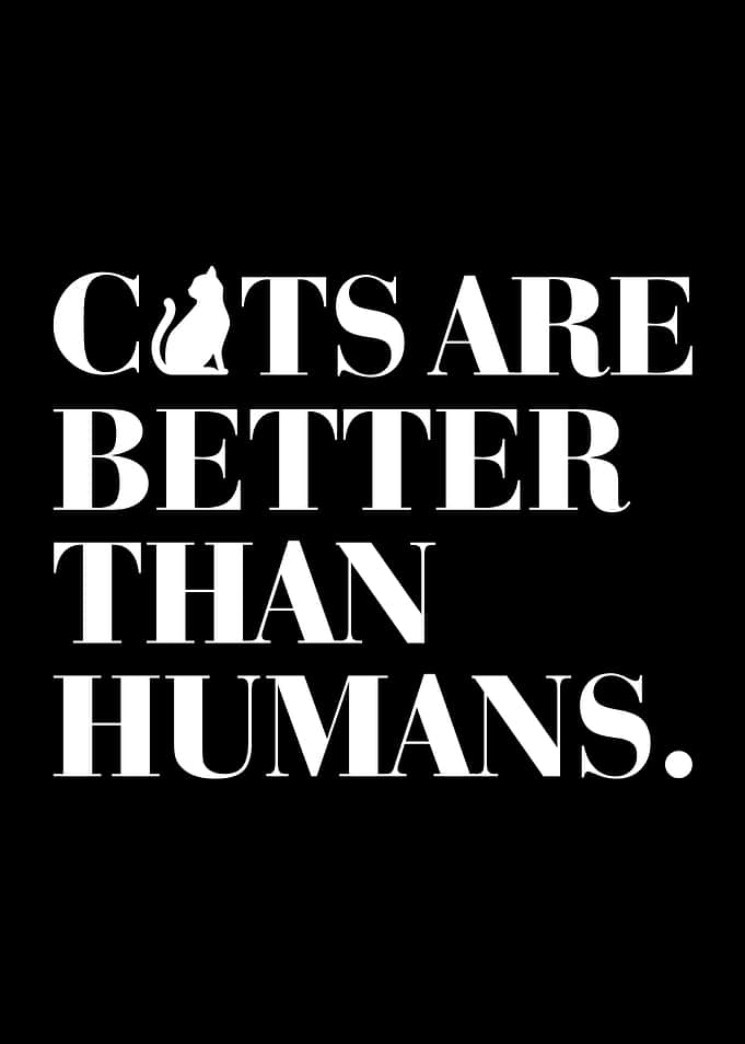 Cats are better than humans