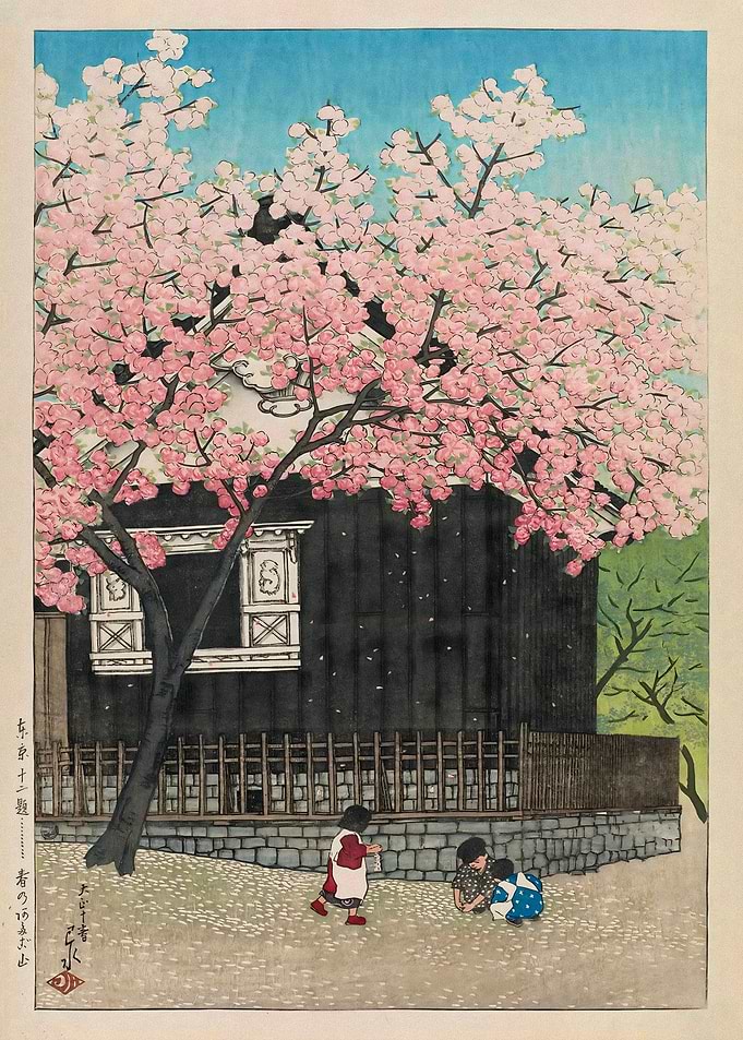 Japanese Woodblock Print: Cherry Blossoms
