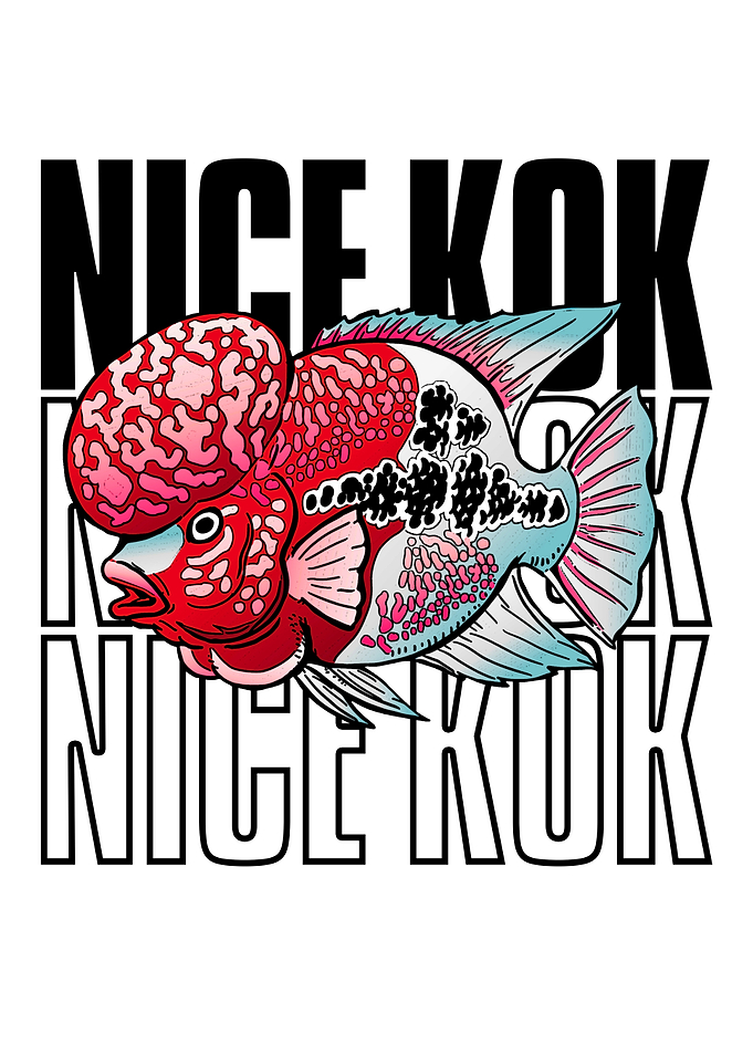 Nice Kok Flowerhorn Fish Keeper