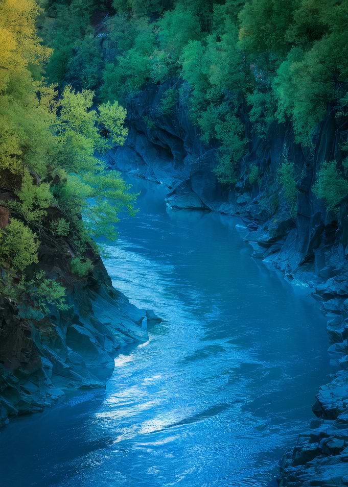 River Through Rocky Forest