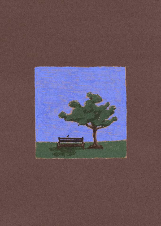 The Tree & The Bench