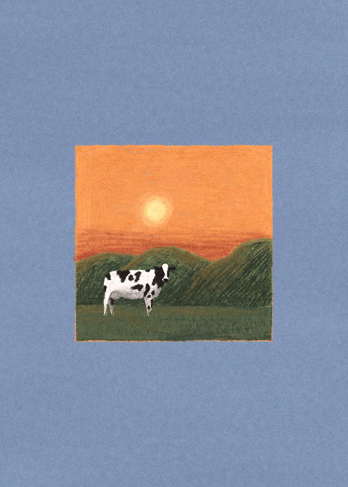 Lonely Cow