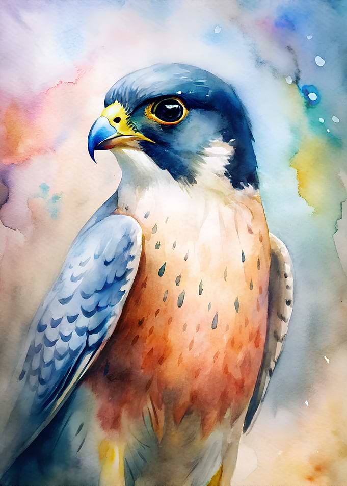 Watercolor Falcon Portrait