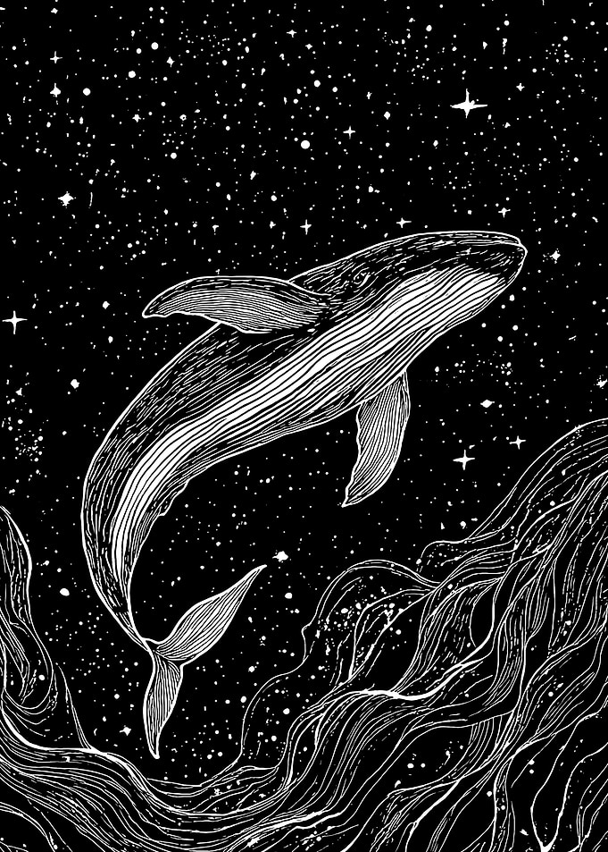 Whale in Space Black and White