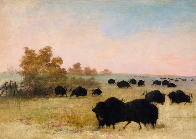 Buffalo Hunt Painting