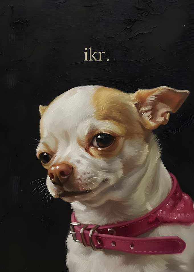 Chihuahua Portrait with Pink Collar, I Know Right