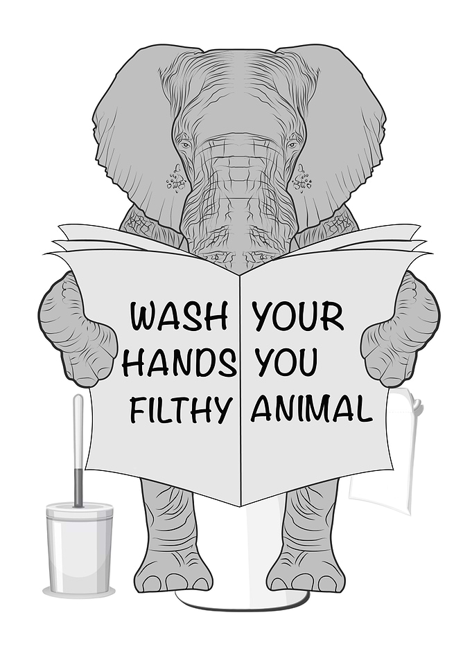 Elephant on Bathroom Toilet Humor