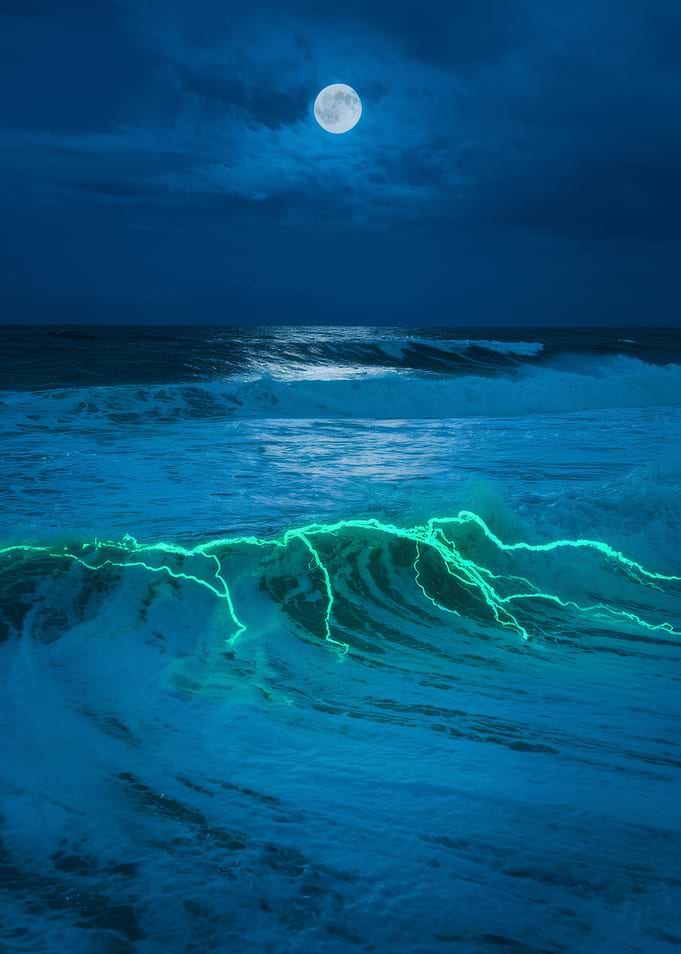 Waves Under Moonlight