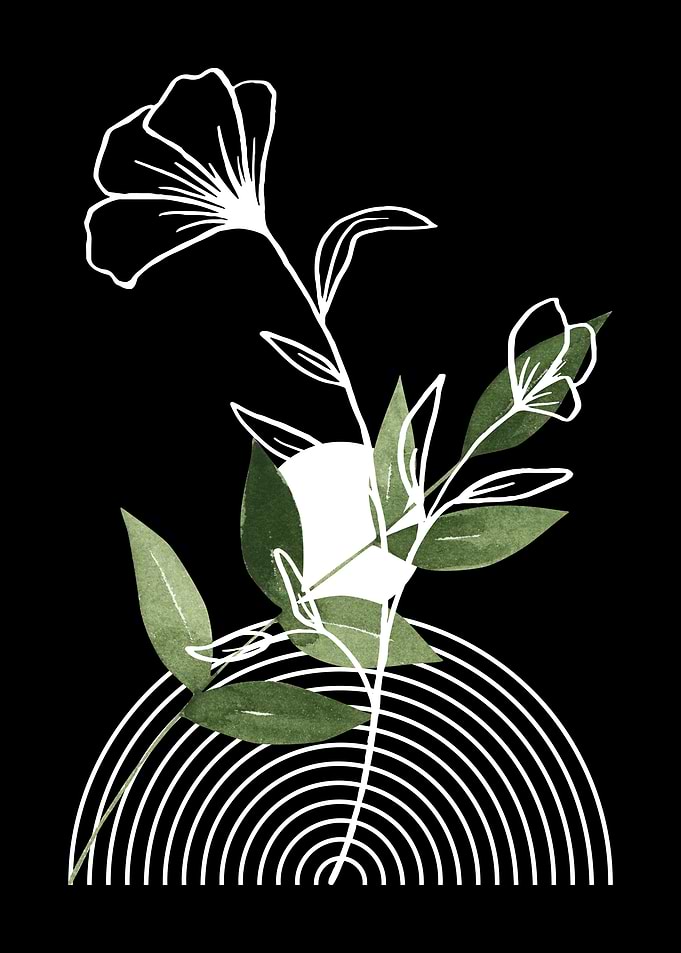 Floral Illustration with Geometric Element